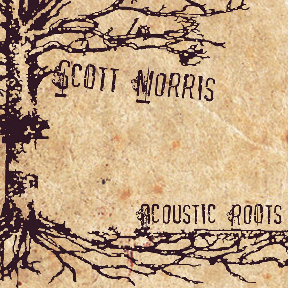 Picture of Acoustic Roots