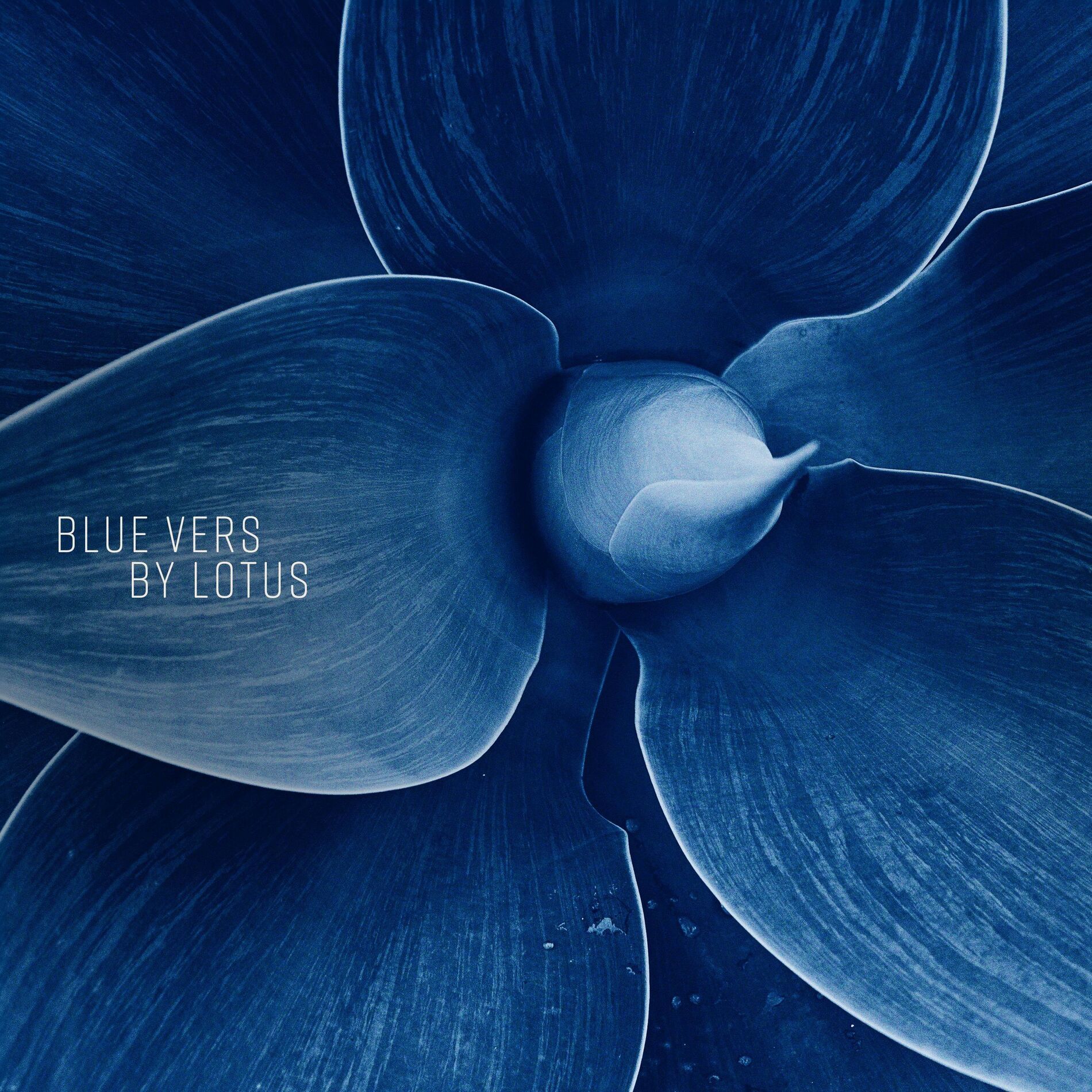 Album cover of Blue Vers