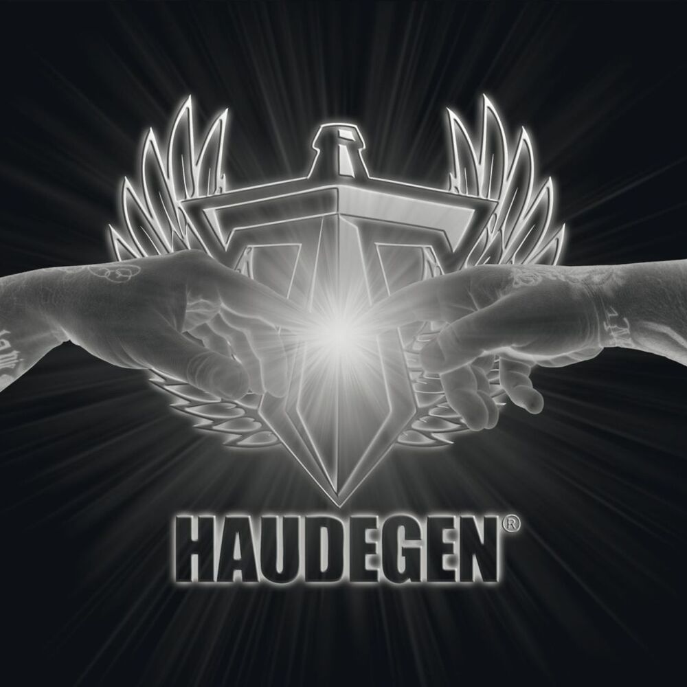 Picture of Haudegen (EP)