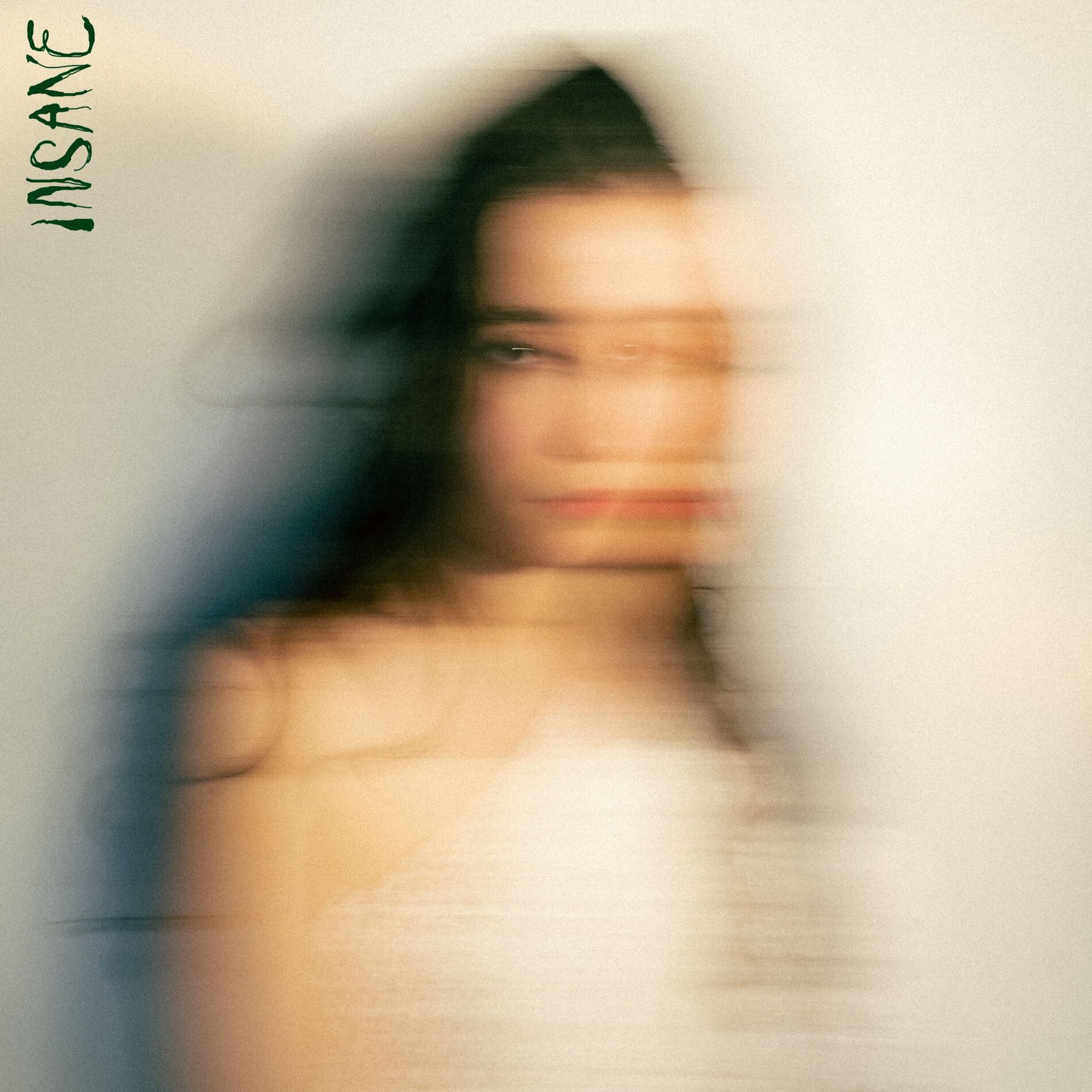 Album cover of Insane
