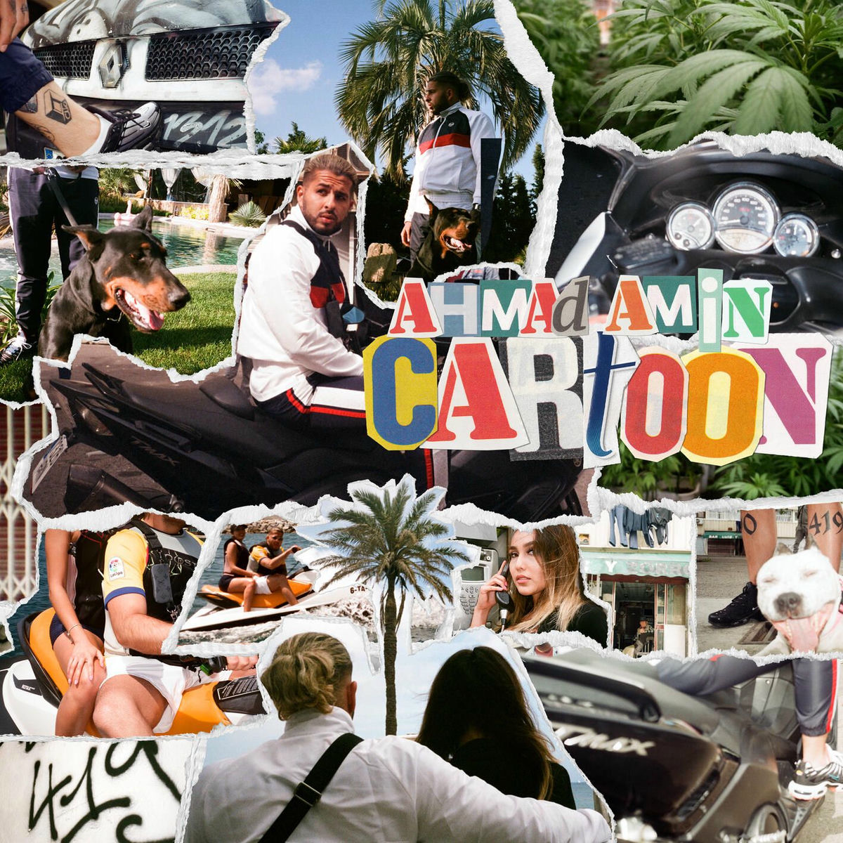 Album cover of Cartoon
