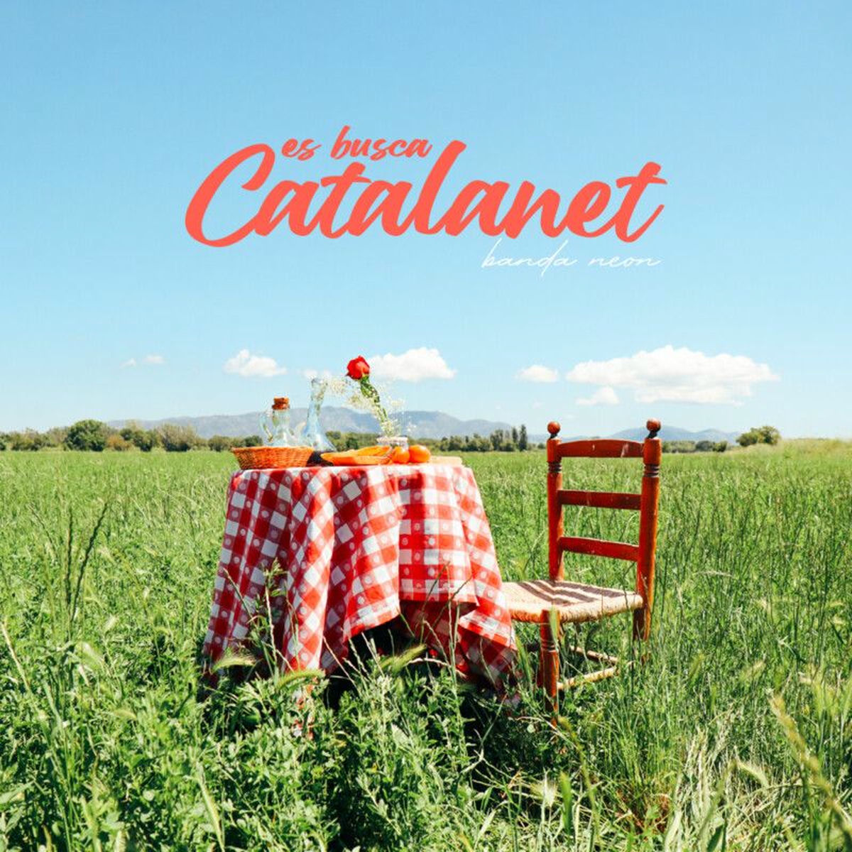 Album cover of Es busca catalanet