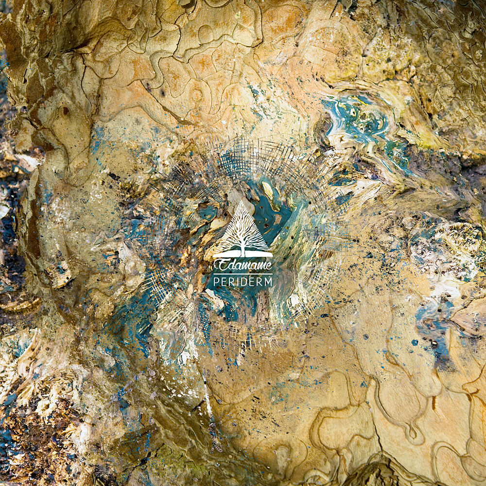 Picture of Periderm