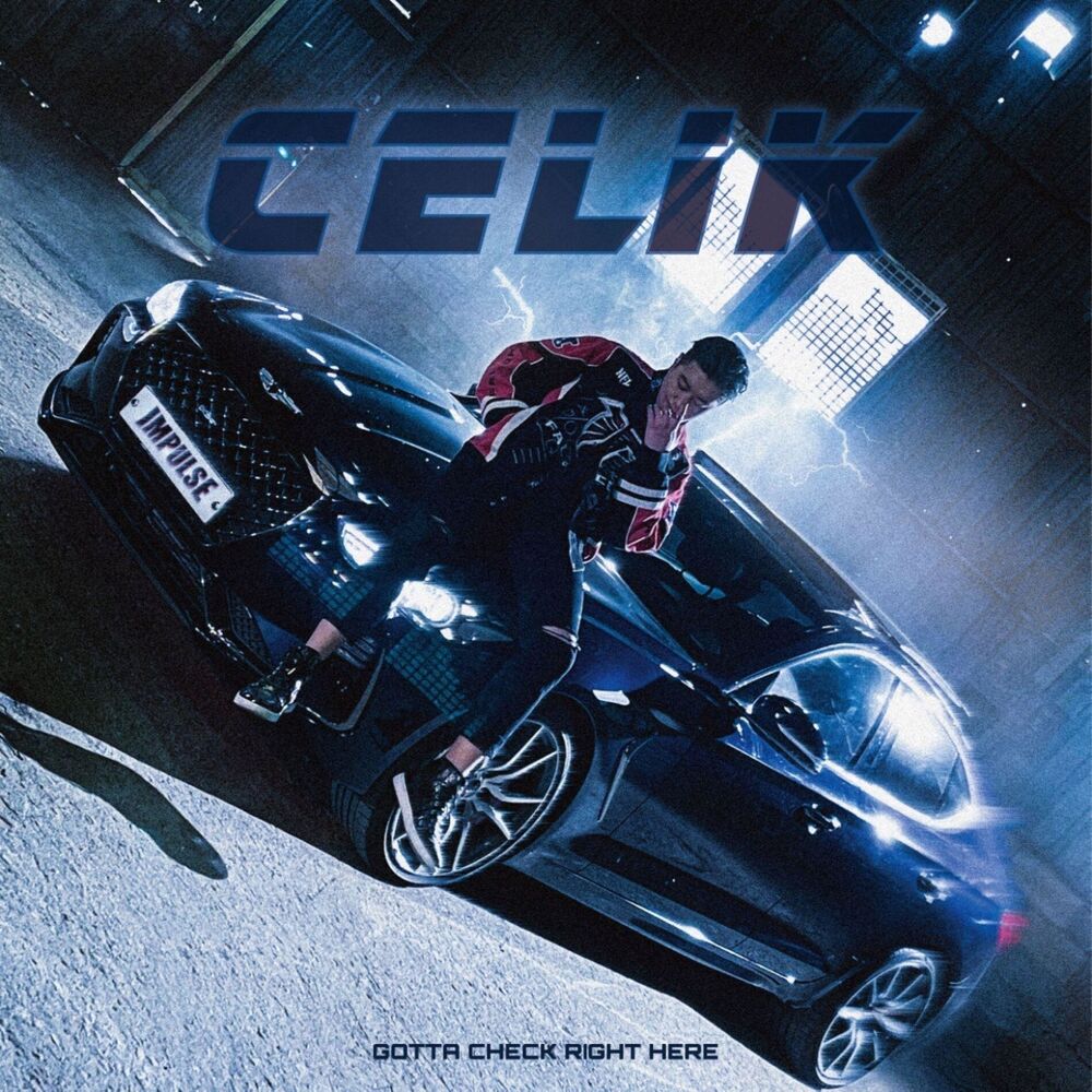 Picture of CELIK