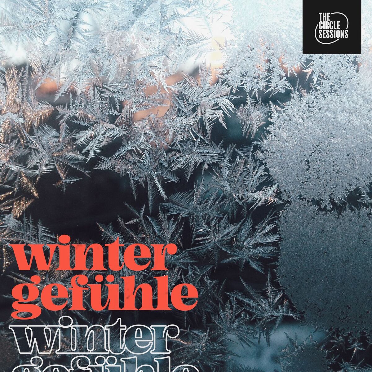 Album cover of Winterherz