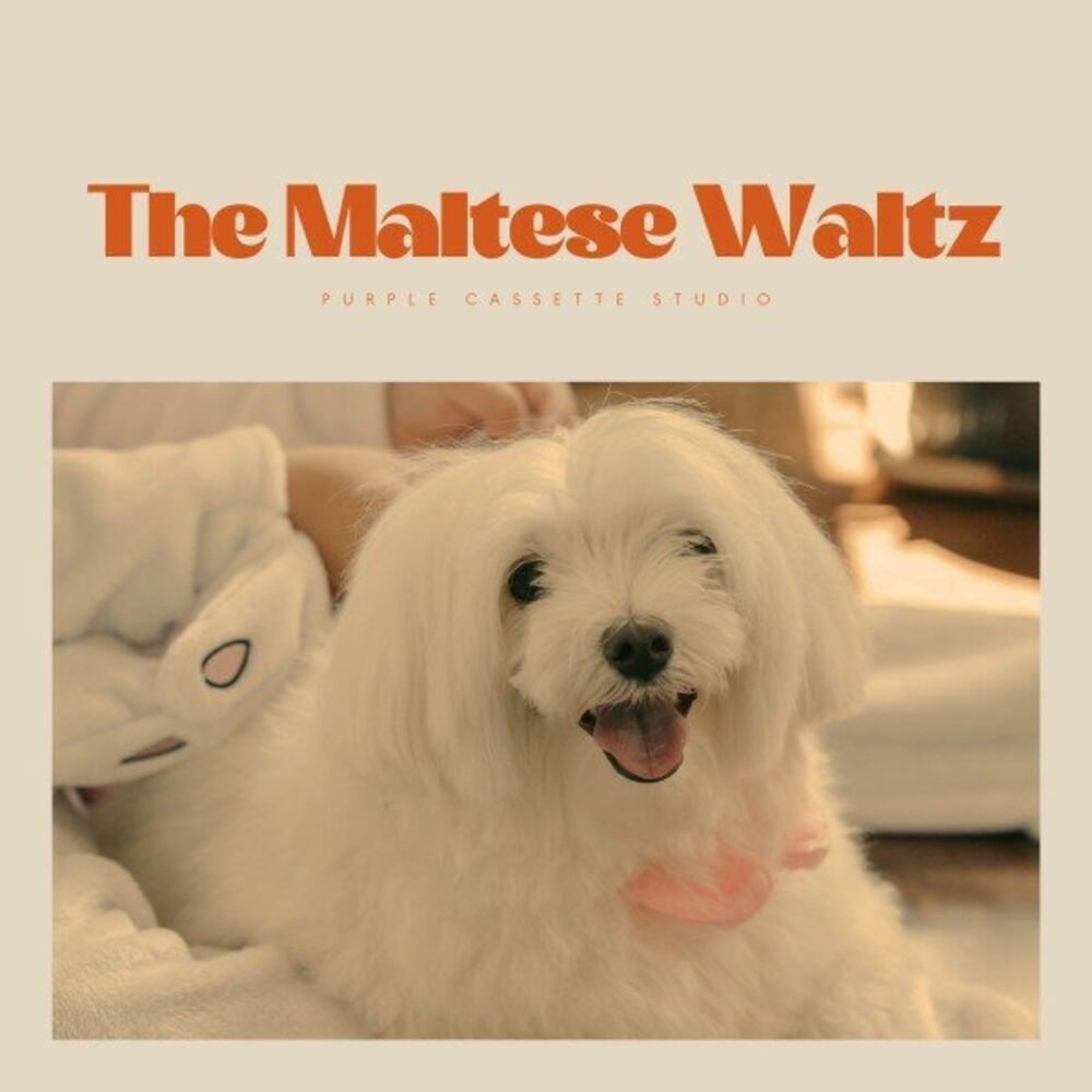 Picture of The Maltese Waltz