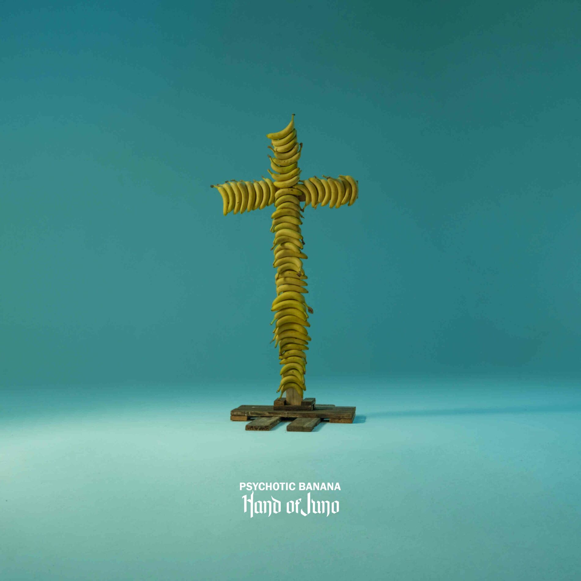 Album cover of Hug My Death