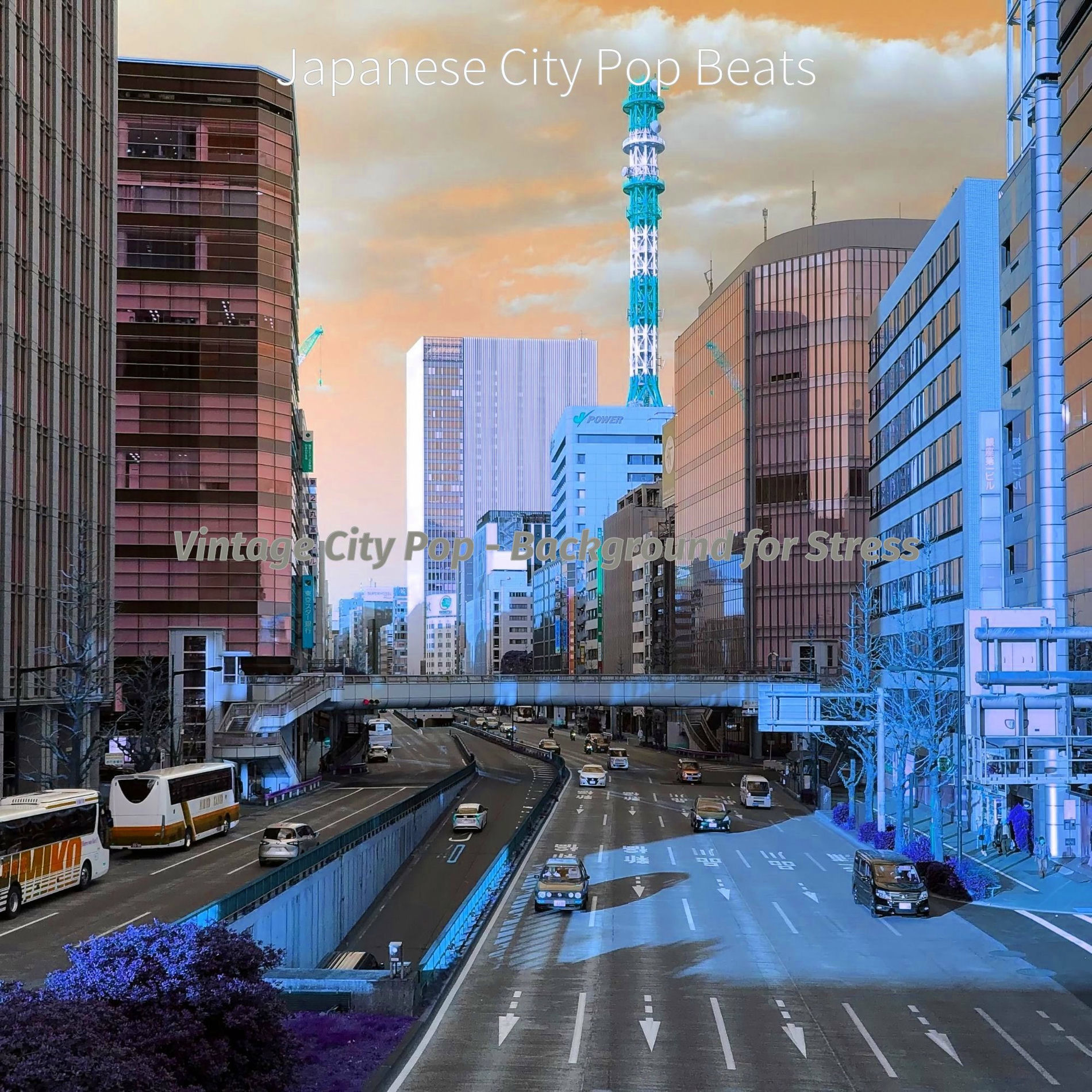 「TOKYO Street Style BETTY'S BLUE」オムニバスCD Japanese City Pop Beats - Vintage City Pop - Background for