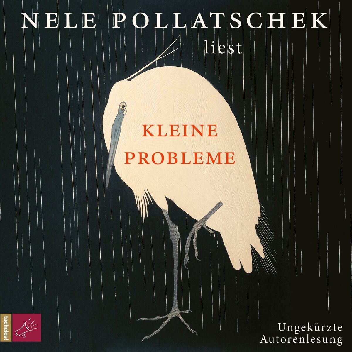 Album cover of Kleine Probleme (Ungekürzt)
