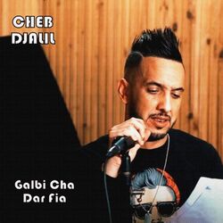 Cover of Galbi cha dar fia