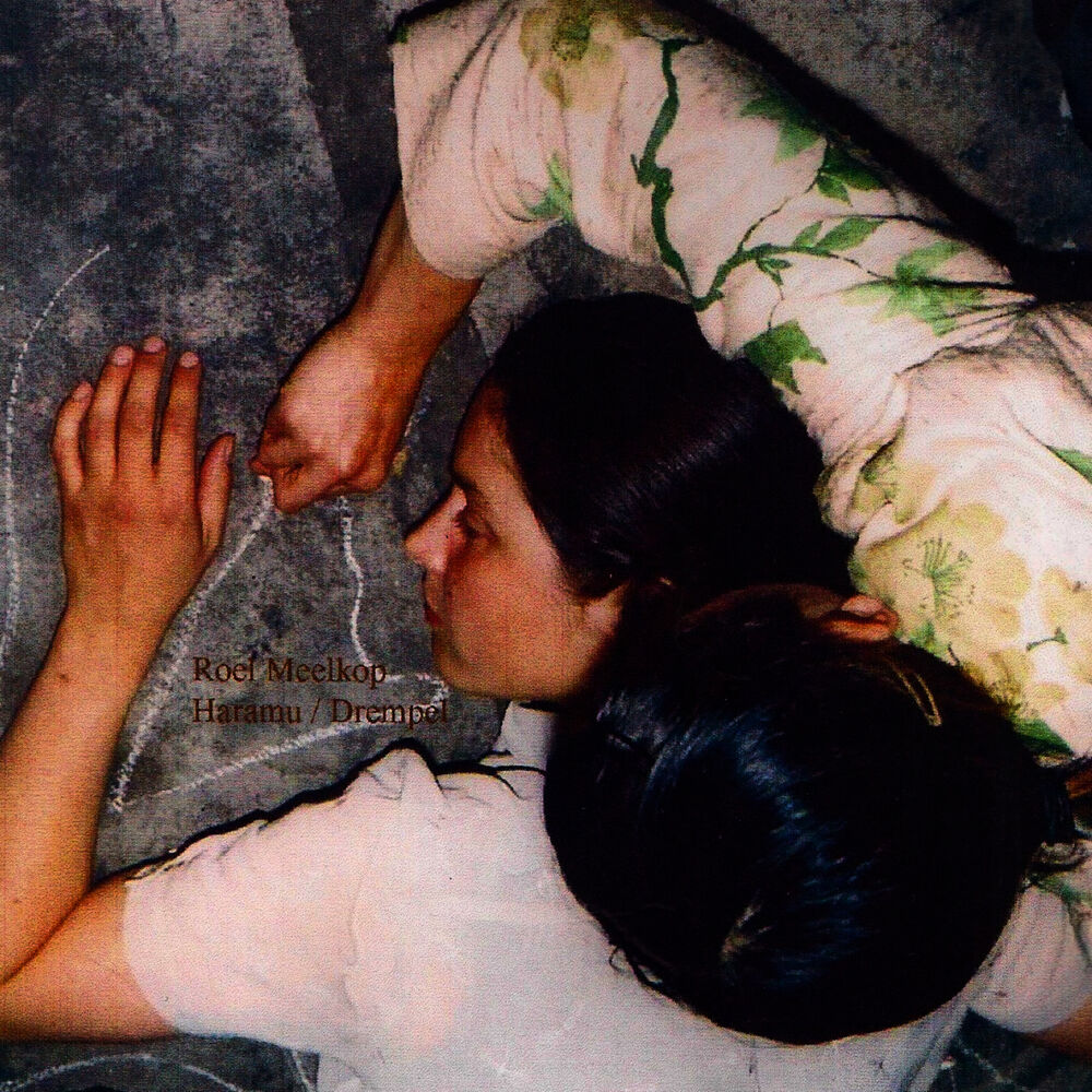 Picture of Haramu / Drempel - Single