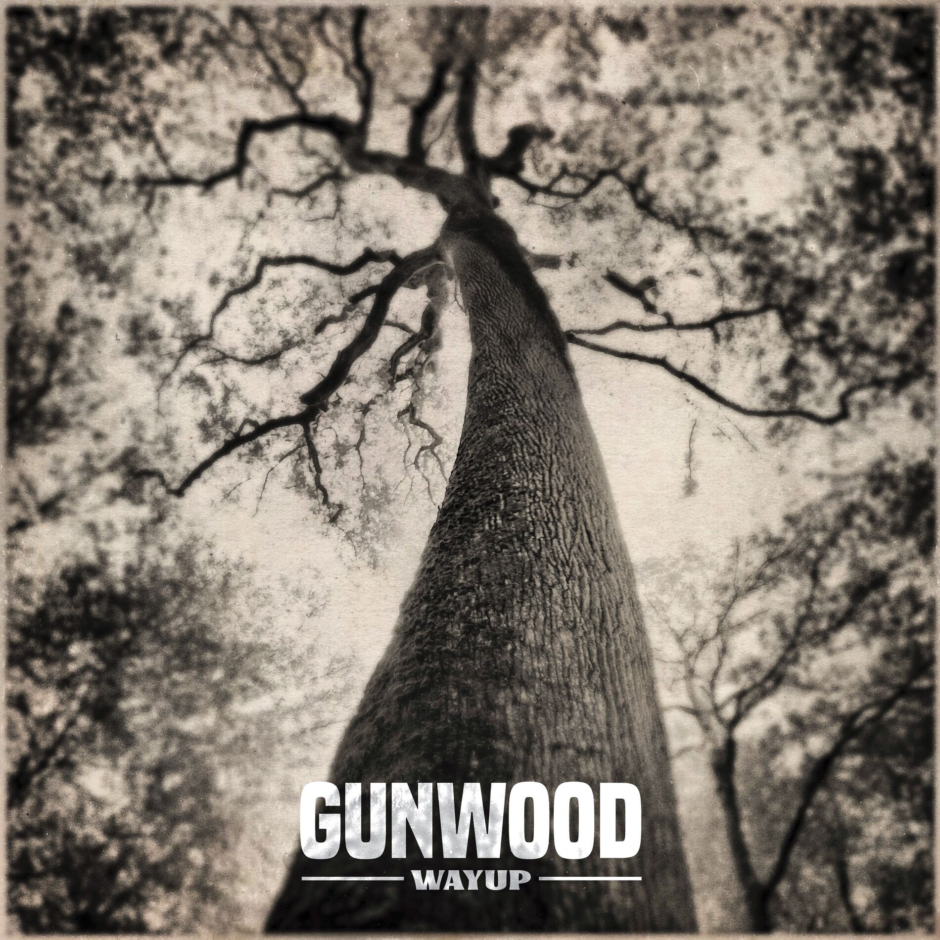Album cover of WAY UP WE GO