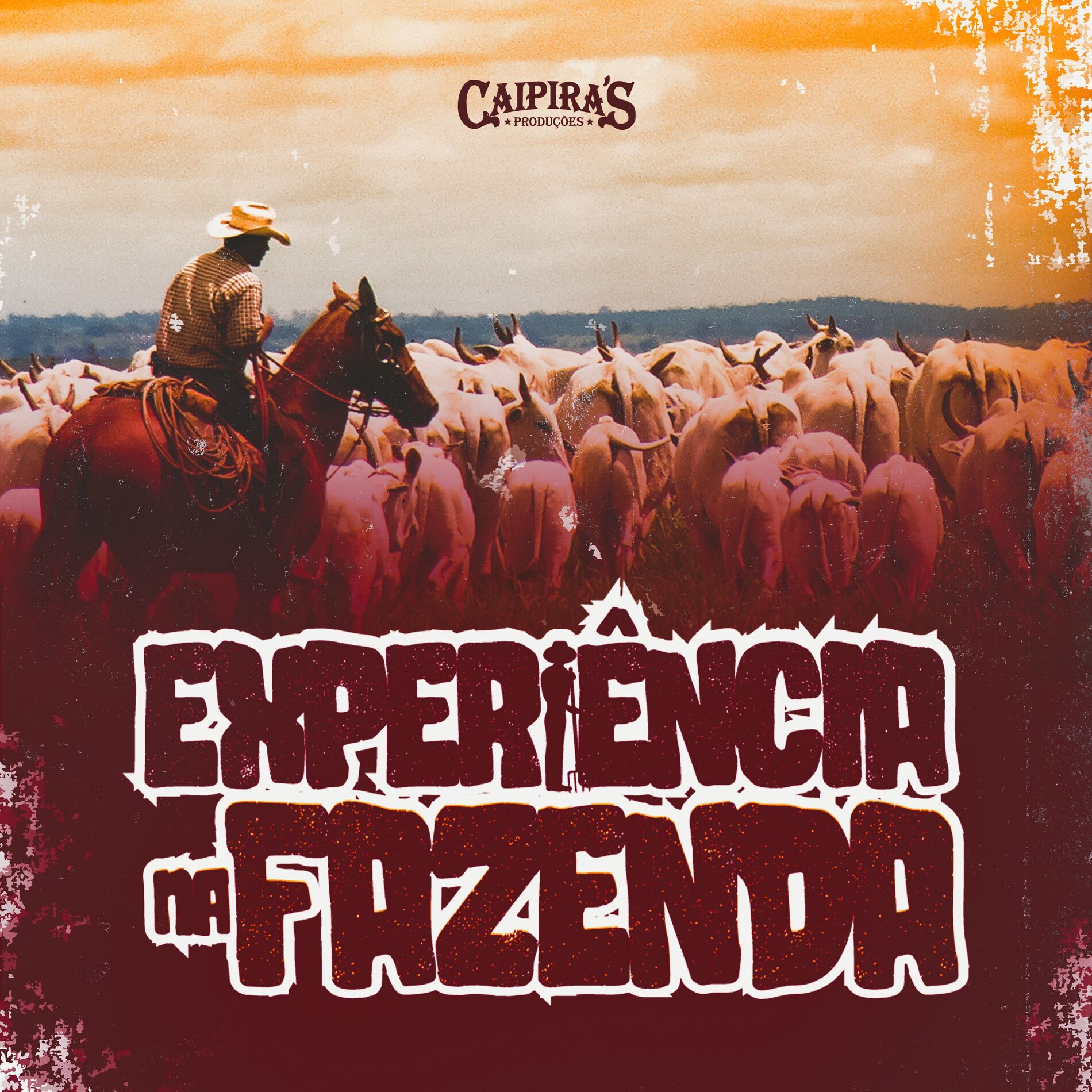 Album cover of Experiência na Fazenda