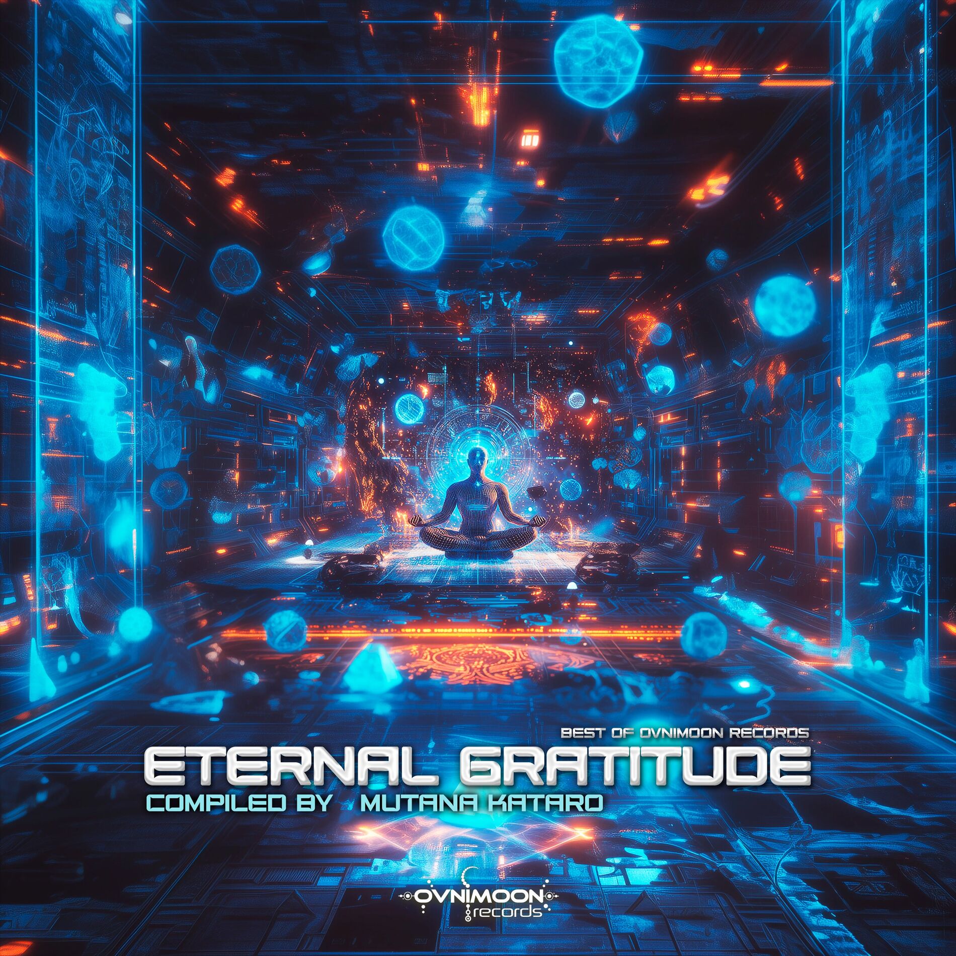 Album cover of Eternal Gratitude - Best Of Ovnimoon Records