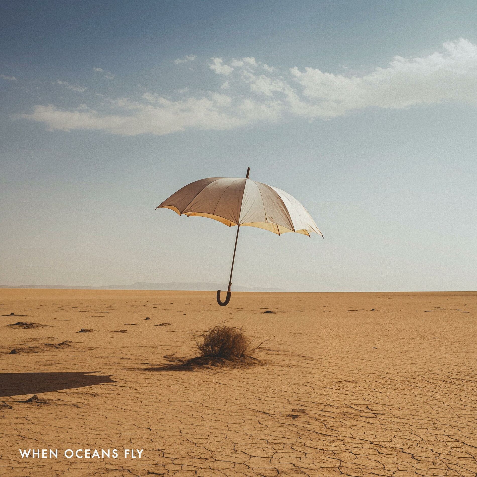 Album cover of When Oceans Fly