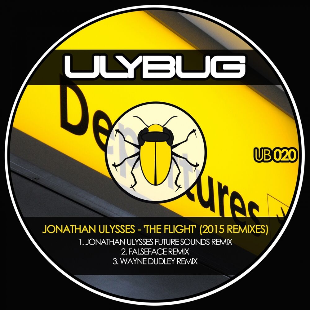 Picture of The Flight (2015 Remixes)