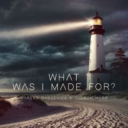 Cover of What Was I Made For?