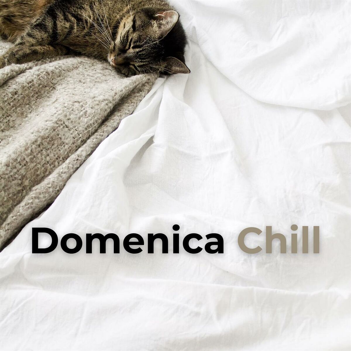 Album cover of Domenica Chill
