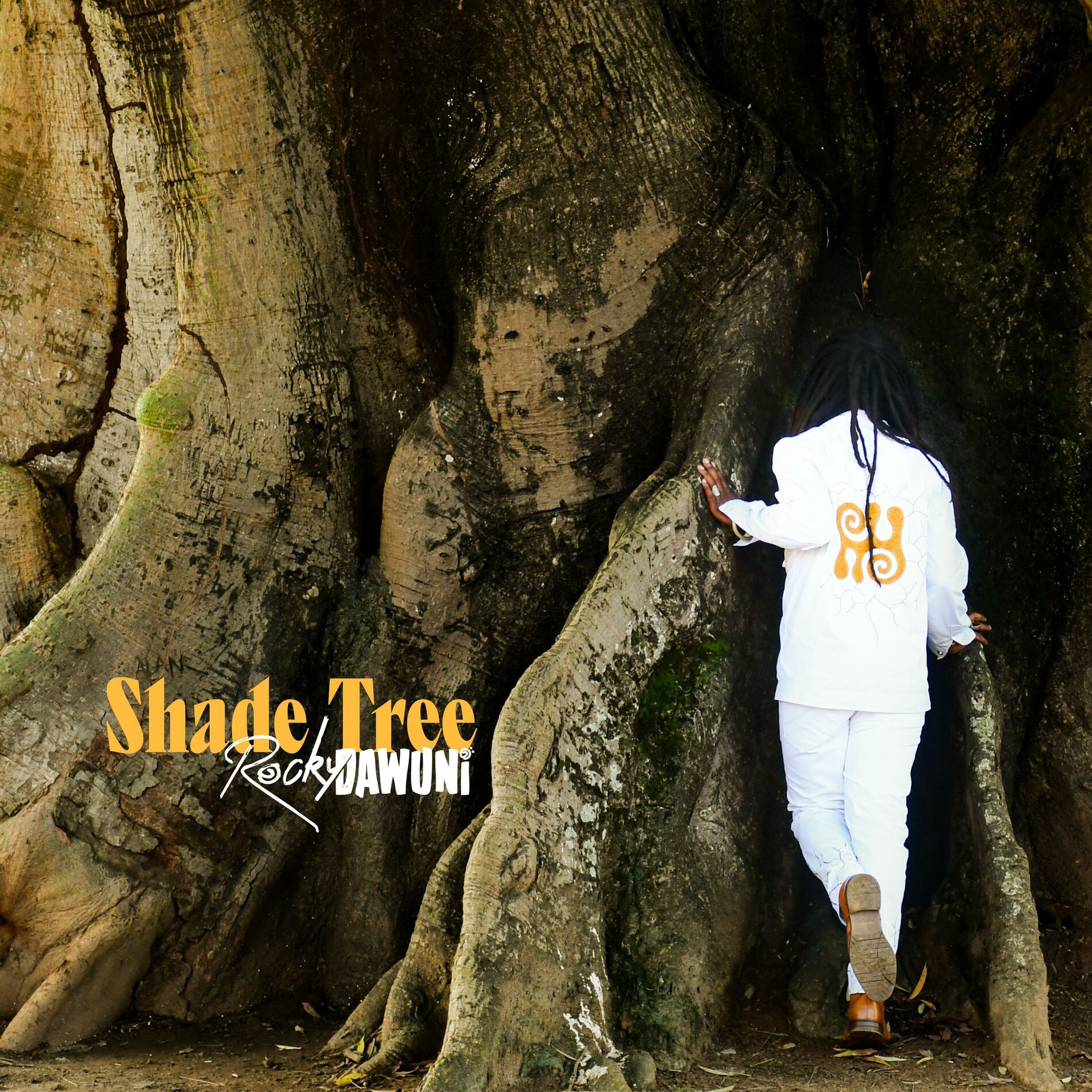 Album cover of Shade Tree