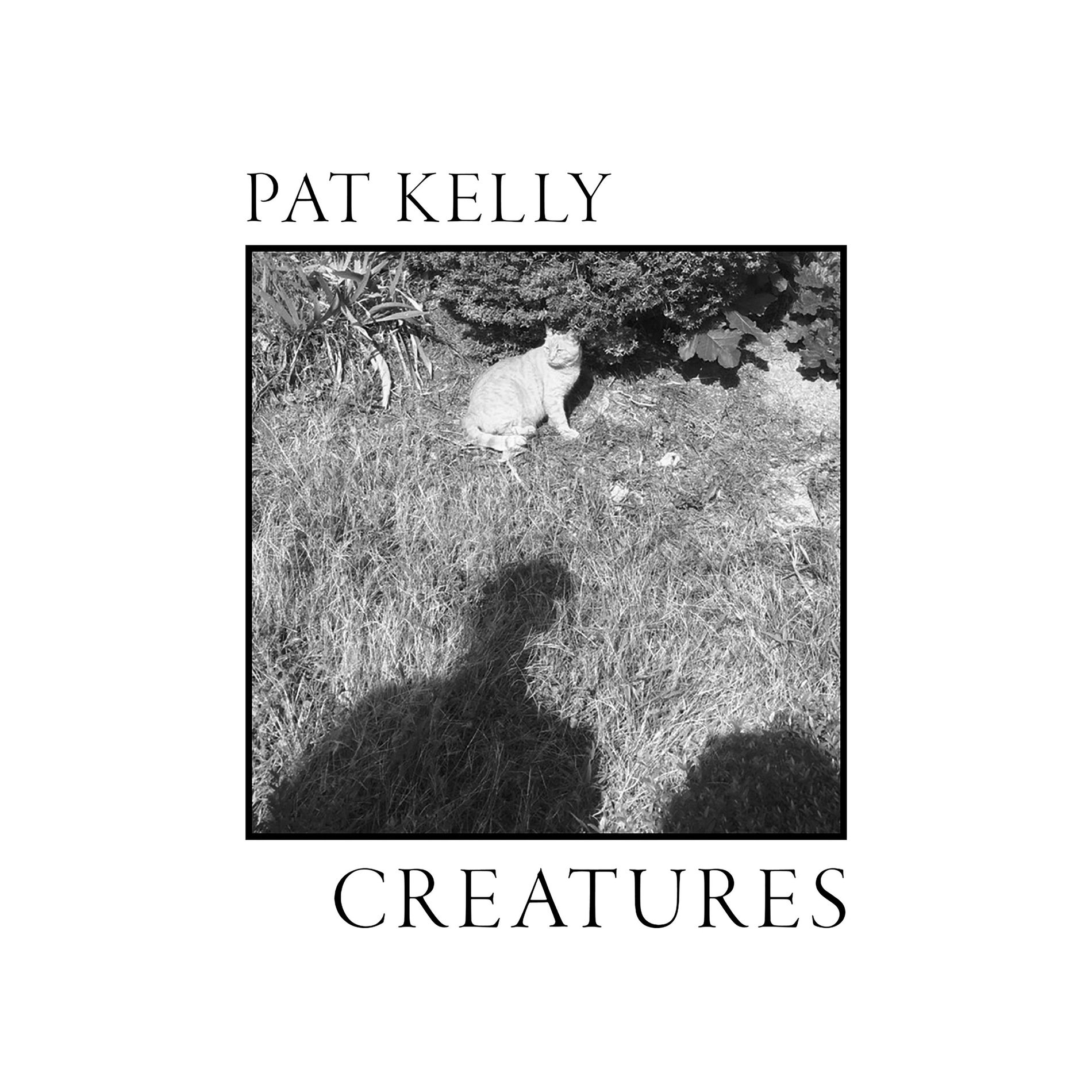Album cover of Creatures