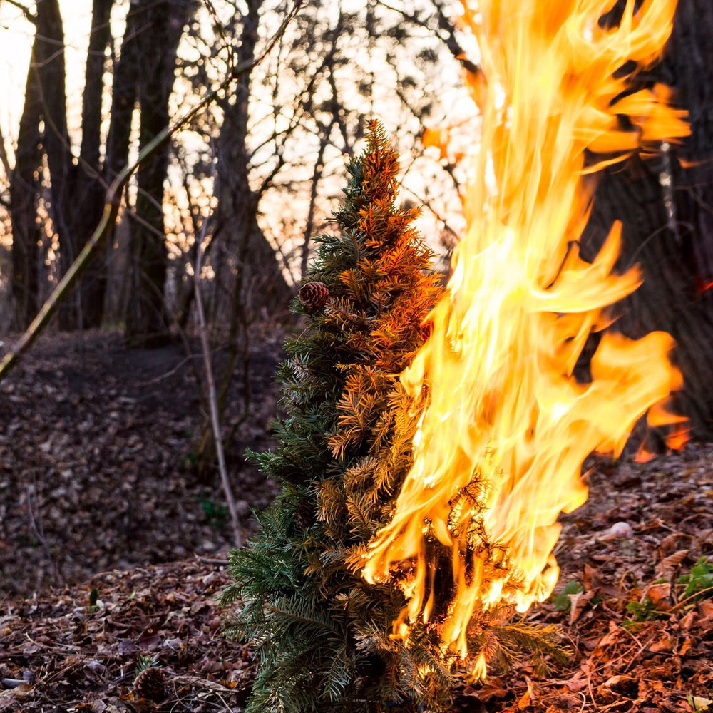 Burning Down the Xmas Tree artwork