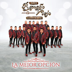 Cover of La Mejor Opción