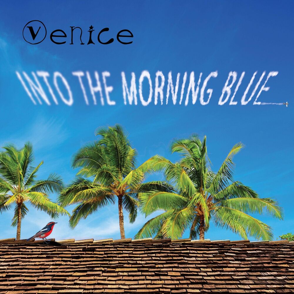 Picture of Into the Morning Blue