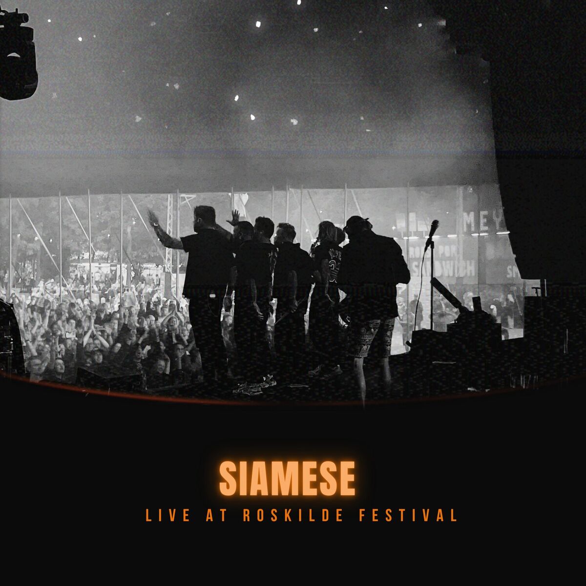 Album cover of Live At Roskilde Festival