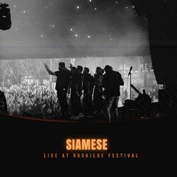 Cover of Live At Roskilde Festival