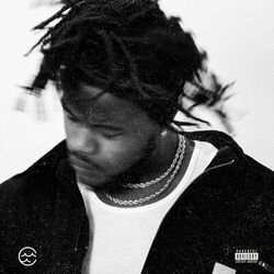 Cover of Never Fold