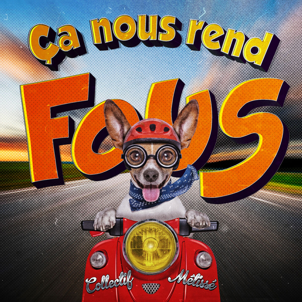 Album cover of Ça nous rend fous