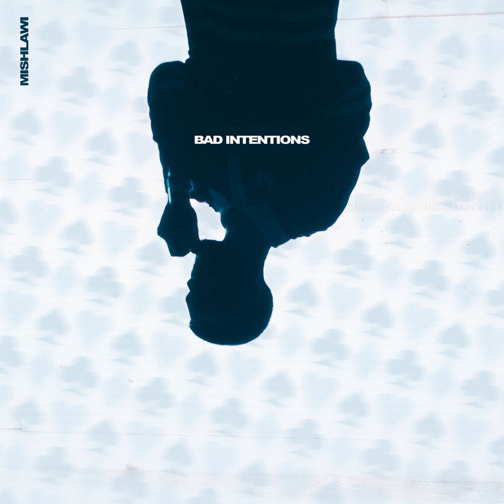 Picture of Bad Intentions