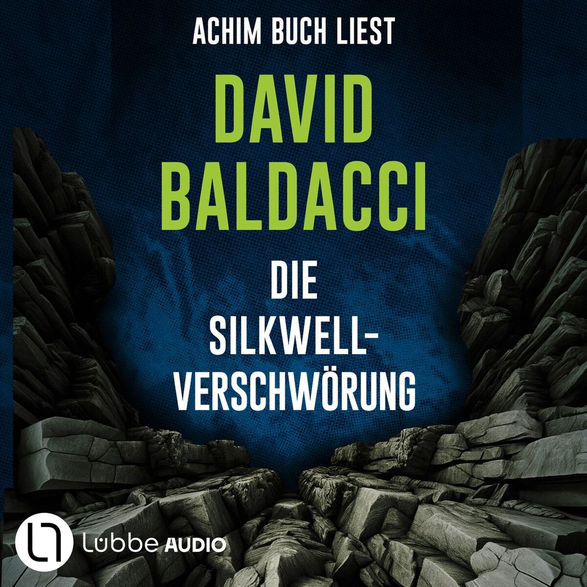 Album cover of Die Silkwell-Verschwörung (Gekürzt)
