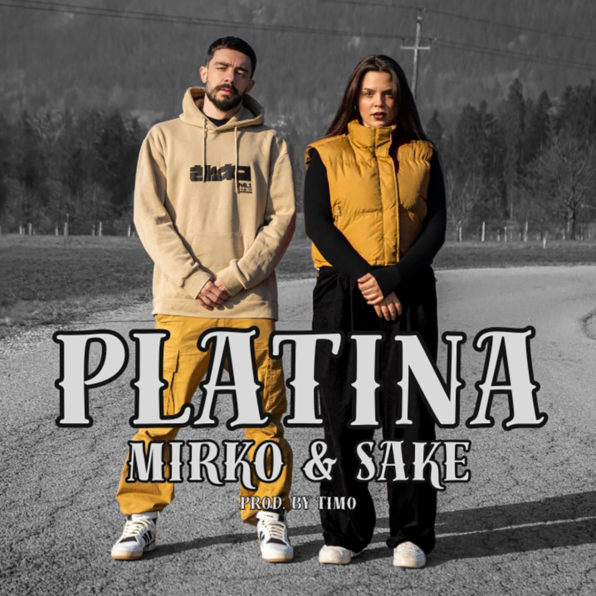 Album cover of Platina (feat. Mirko Grozny & SAKE)