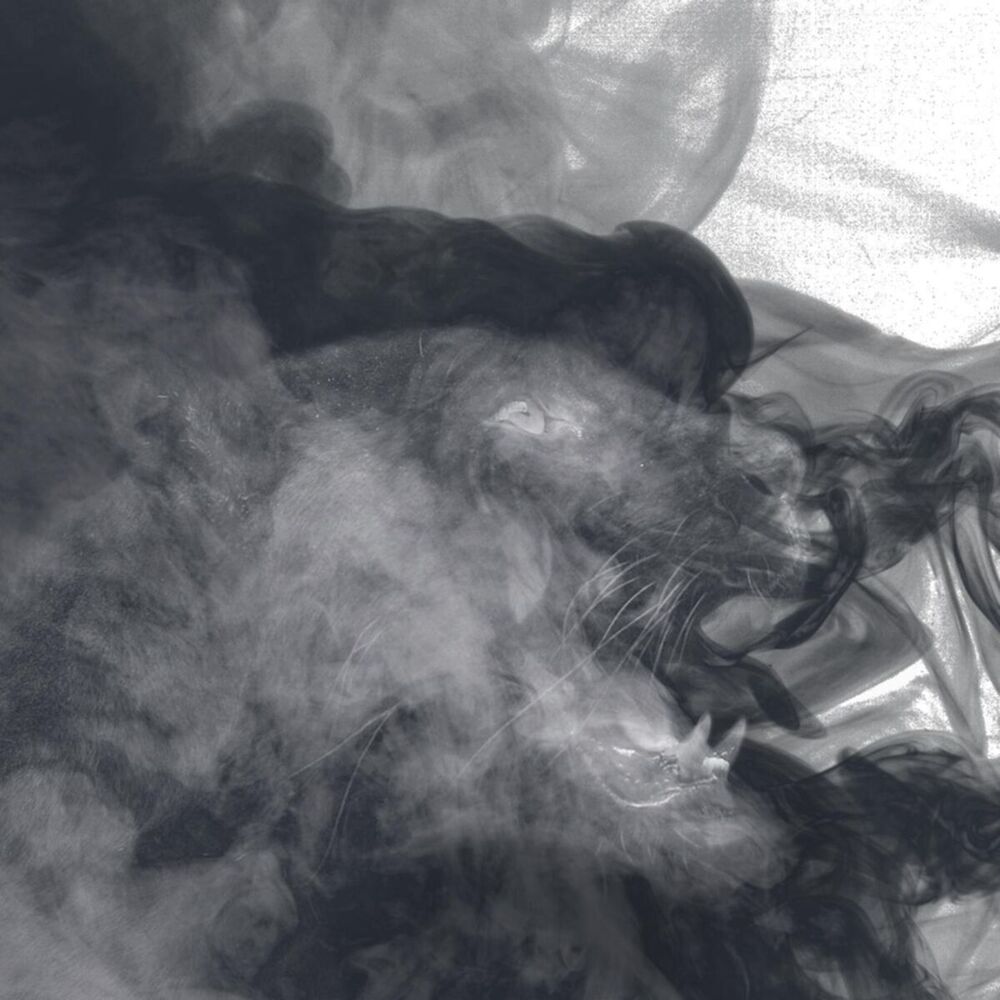 Picture of Instrumentals, Vol. 1