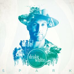 Cover of Spark