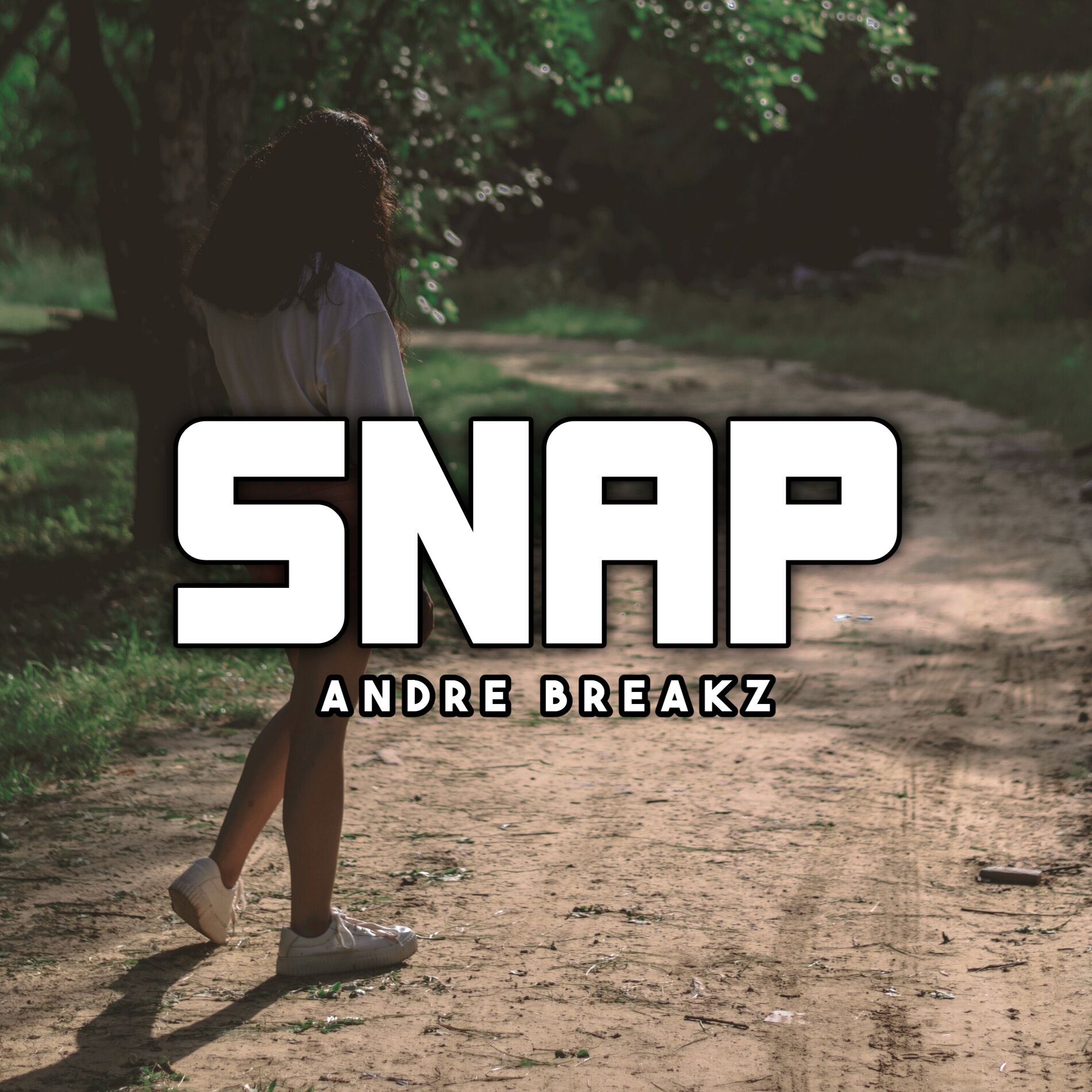 Album cover of Snap