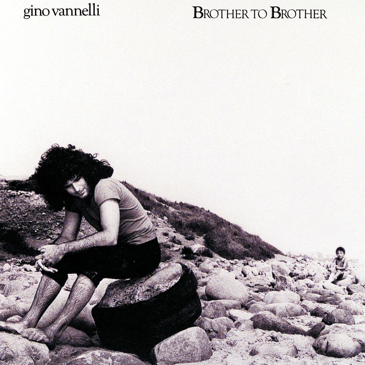 Album cover of Brother To Brother