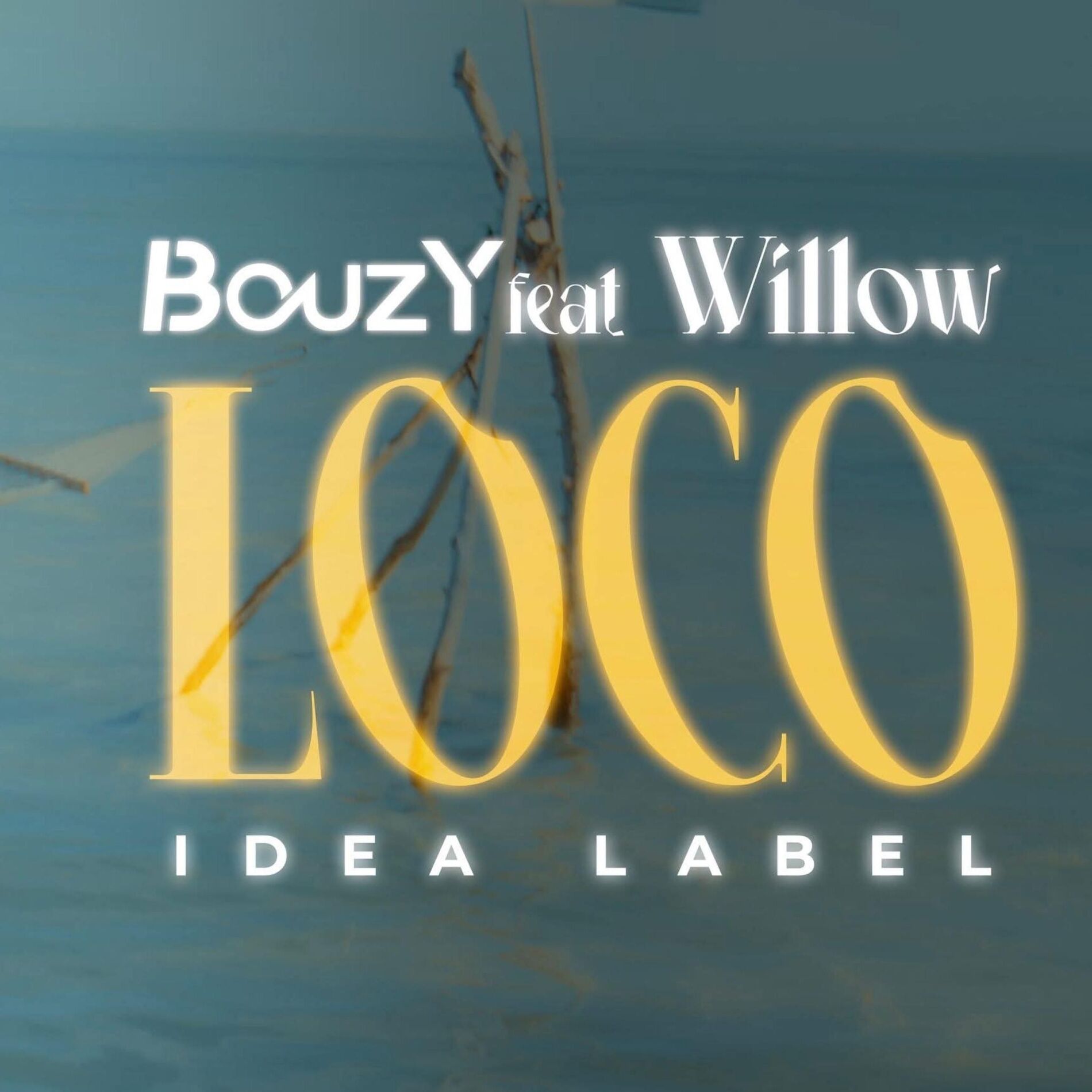 Album cover of LOCO (feat. Willow)
