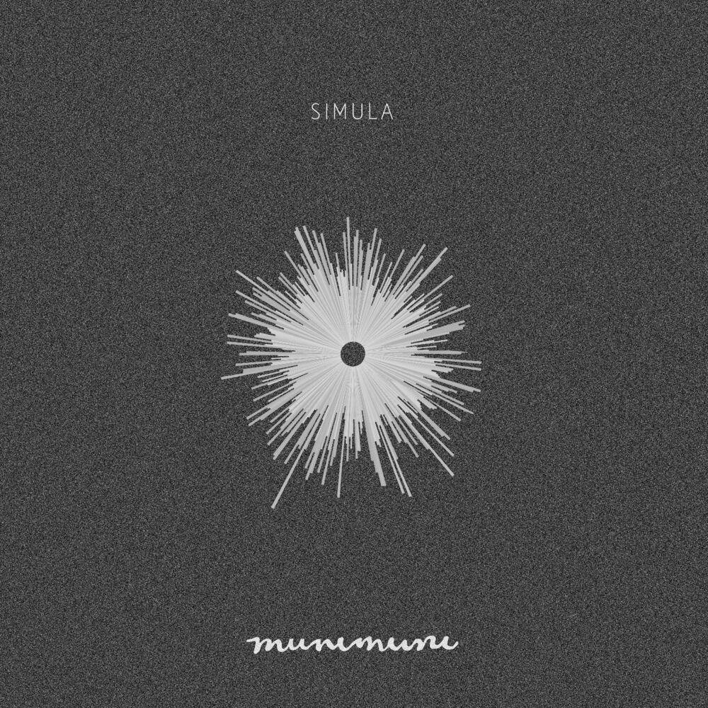 Picture of Simula