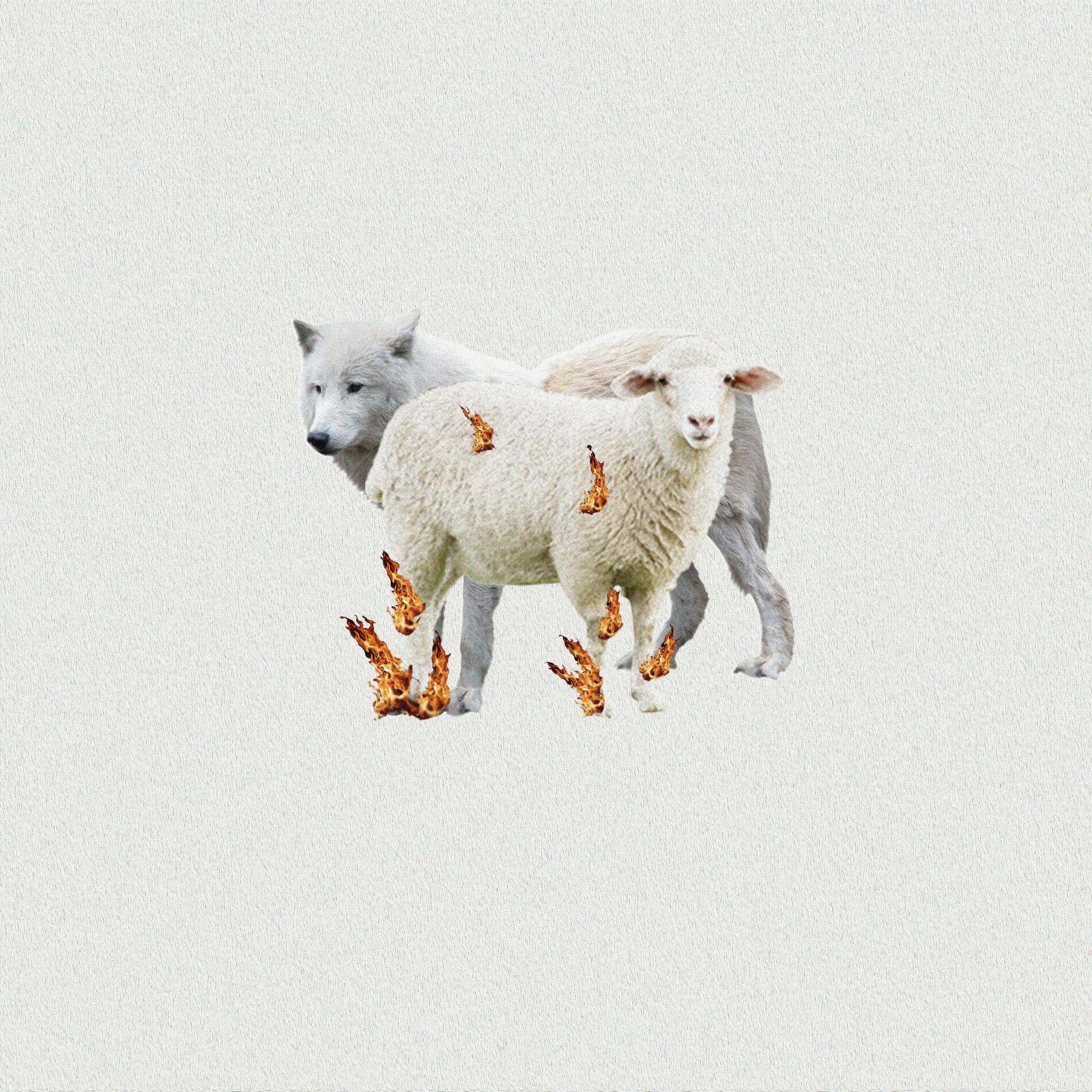 Album cover of FAME (Guardami Bene)