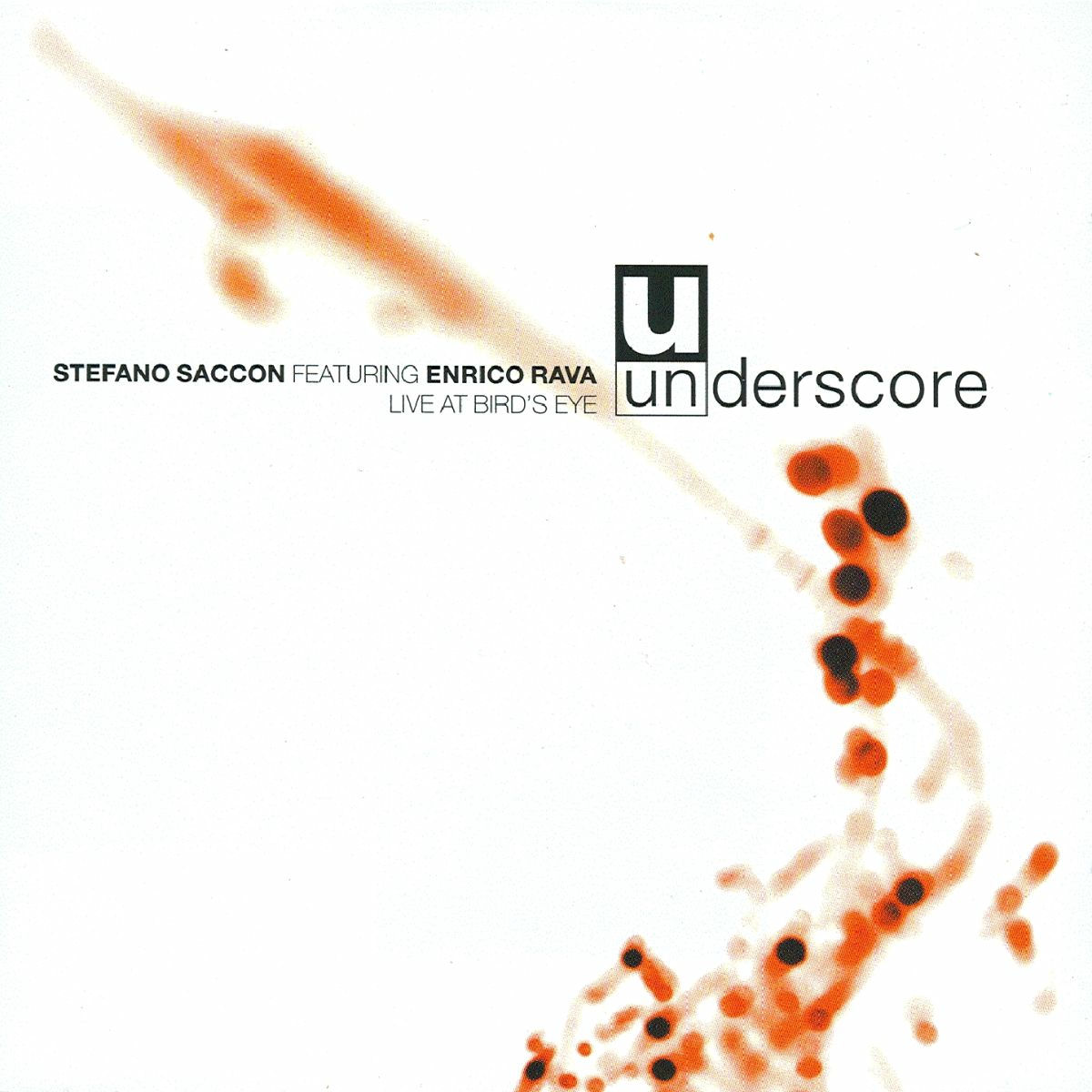 Album cover of Underscore
