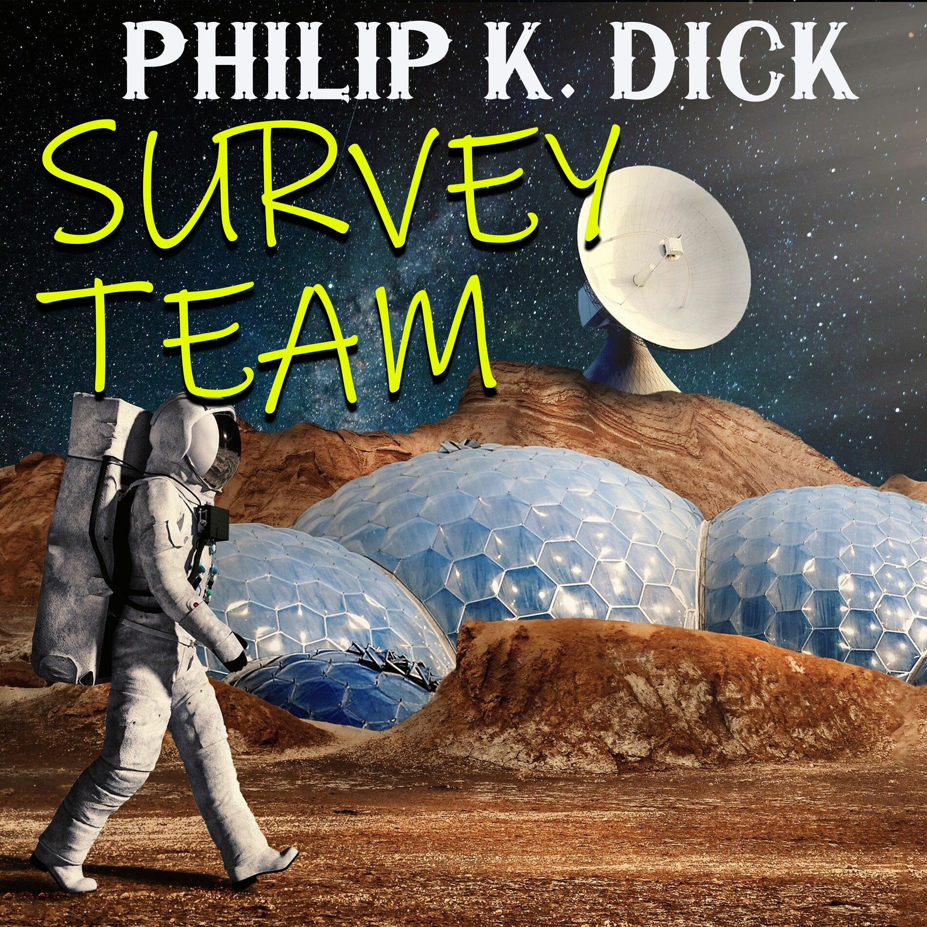 Album cover of Survey Team