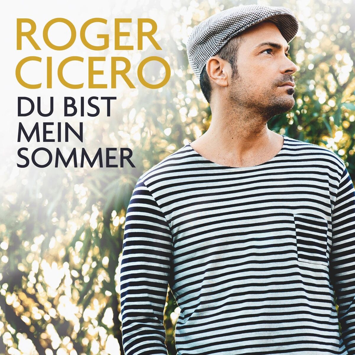Album cover of Du bist mein Sommer