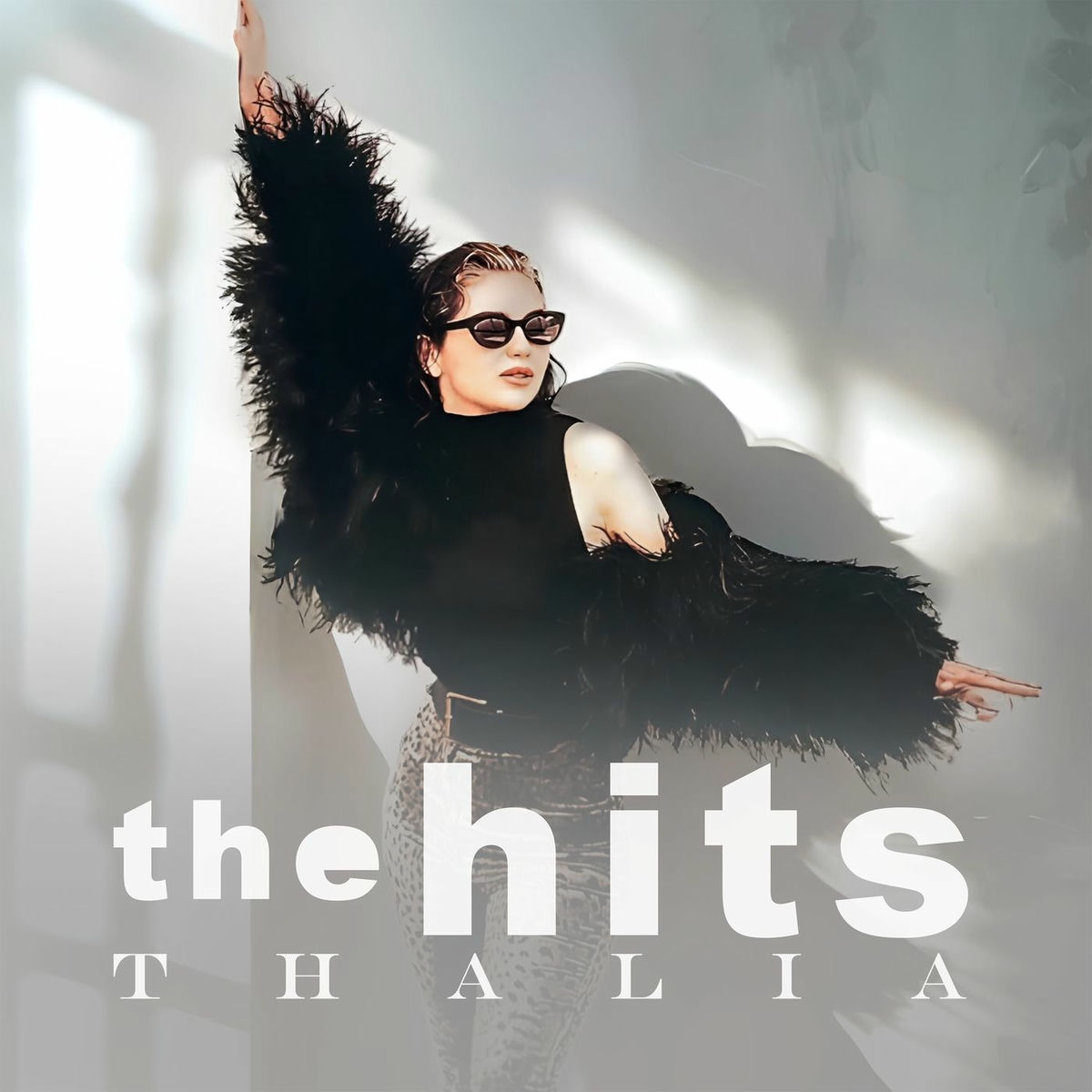 Album cover of Thalia - The Hits