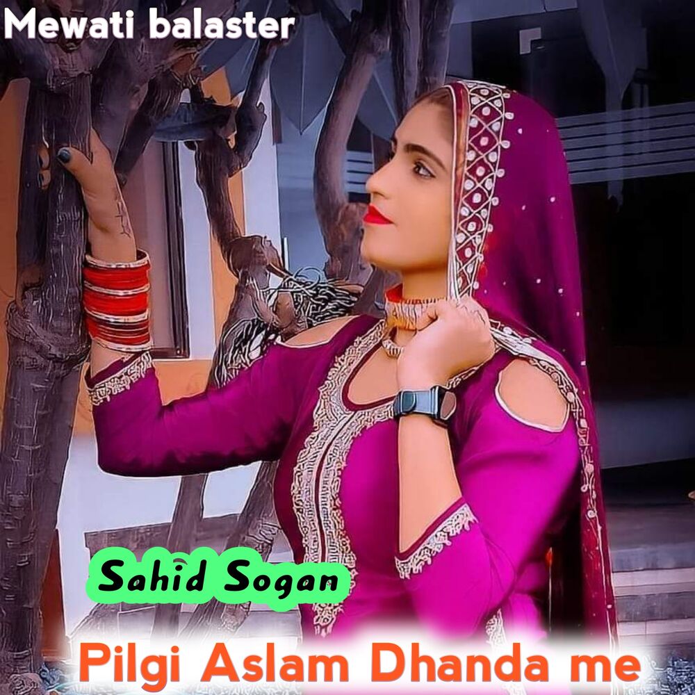 Picture of Pilgi Aslam Dhanda Me