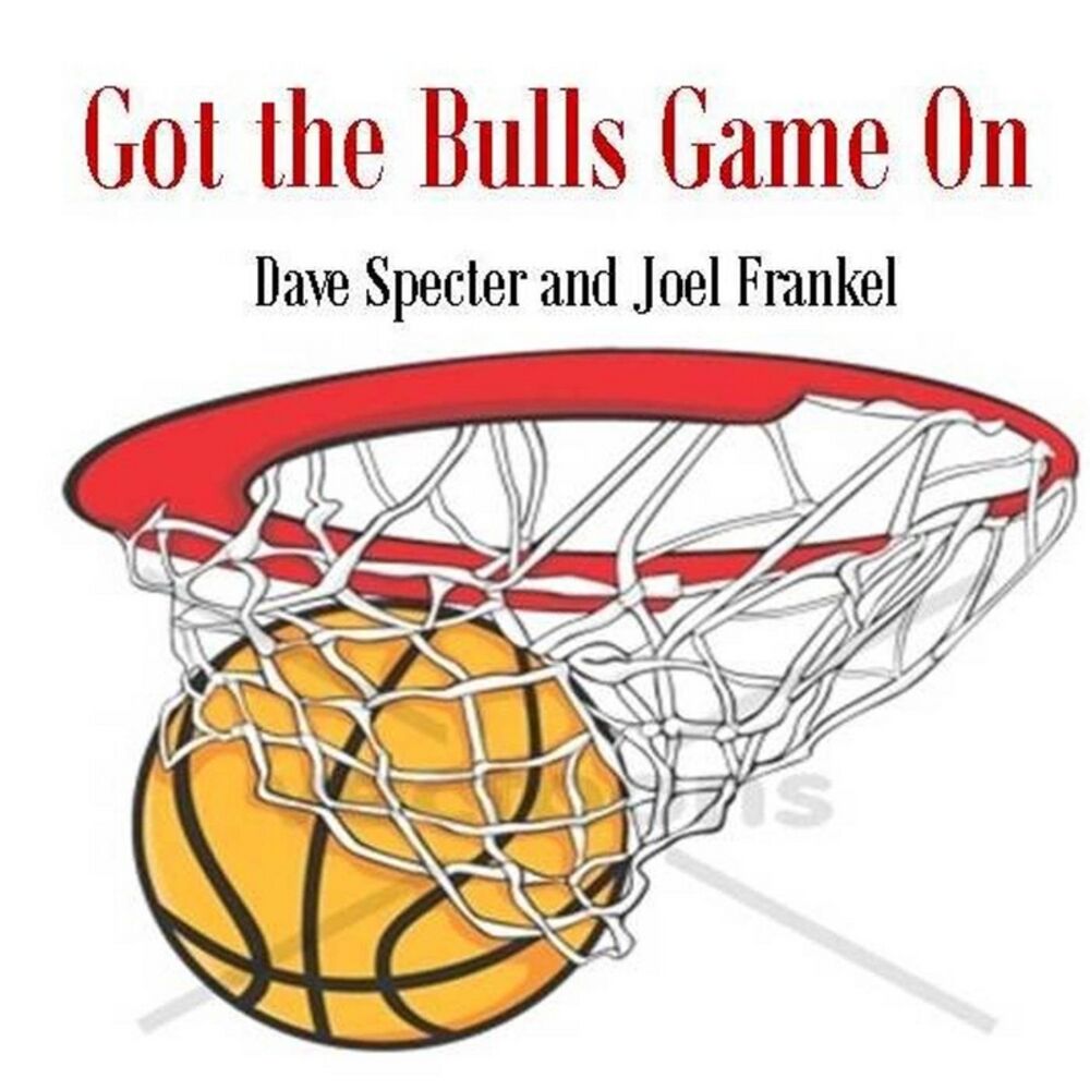 Picture of Got the Bulls Game On