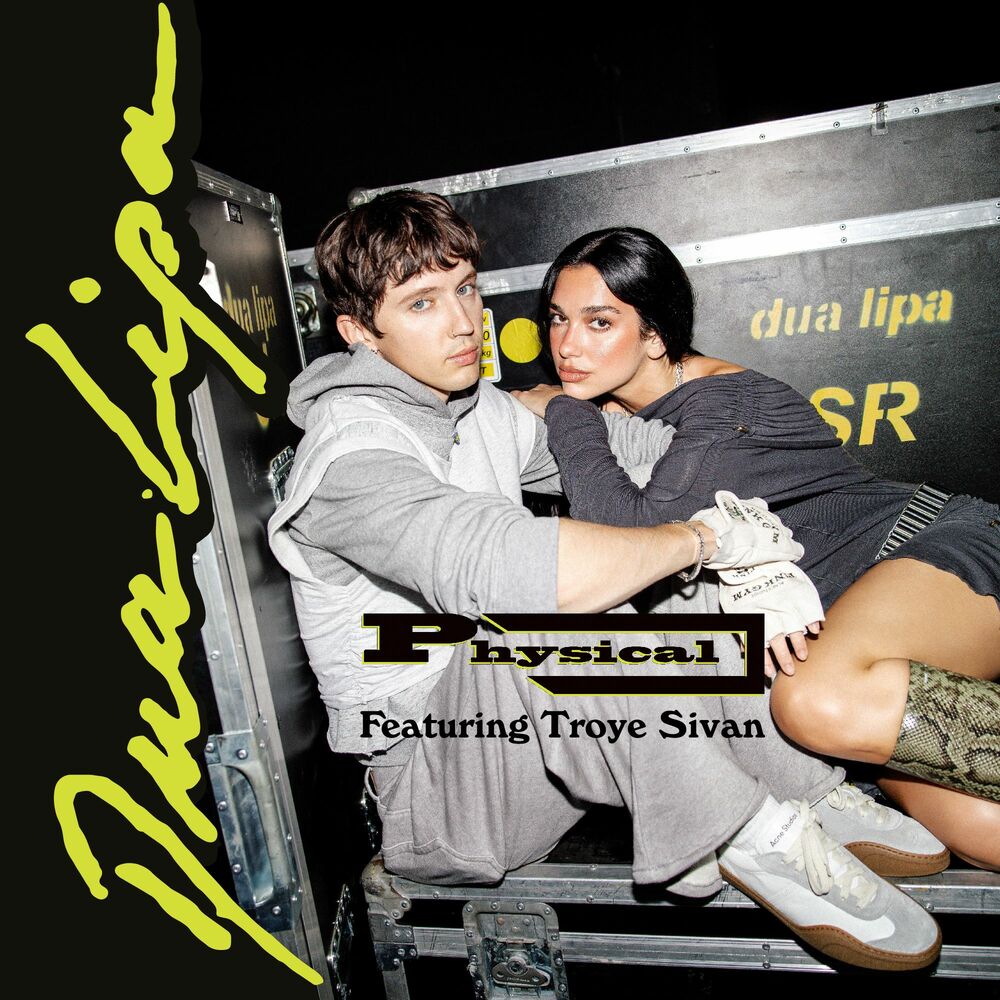 Picture of Physical (feat. Troye Sivan)