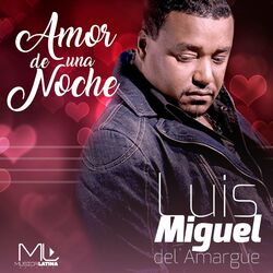 Cover of Amor de una Noche (Bachata)