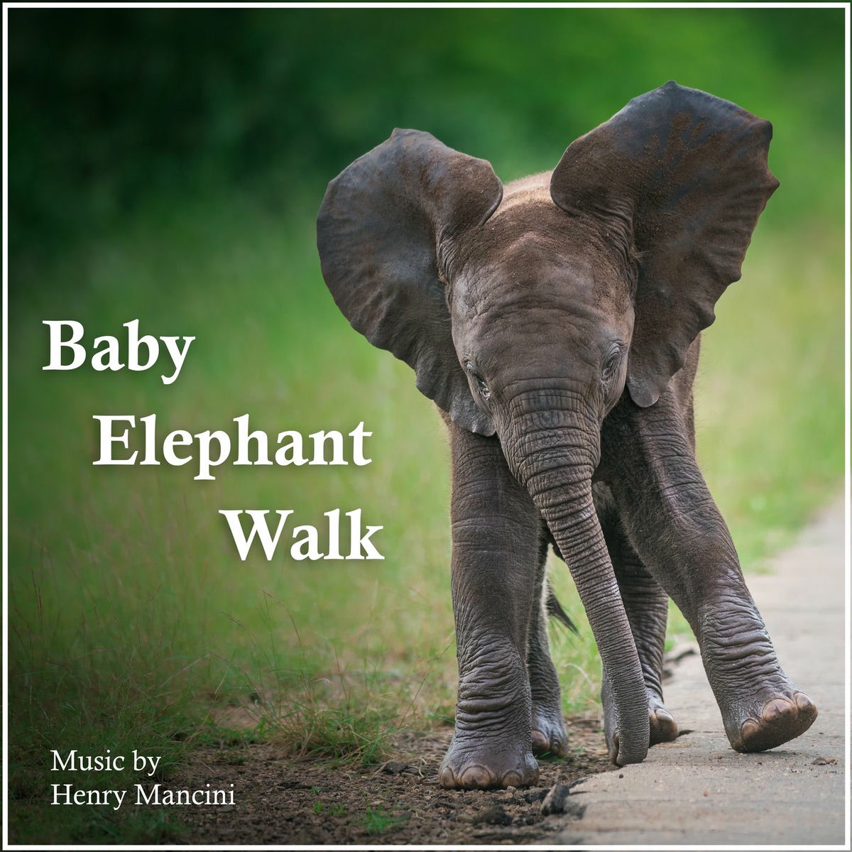 Album cover of Baby Elephant Walk
